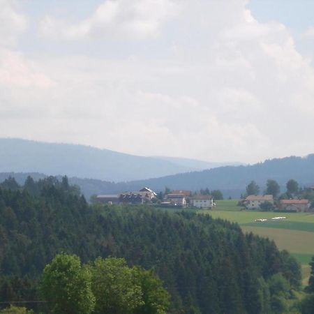 Ferienwohnung Rachel Mit Herrlichem Ausblick Rinchnach Dış mekan fotoğraf