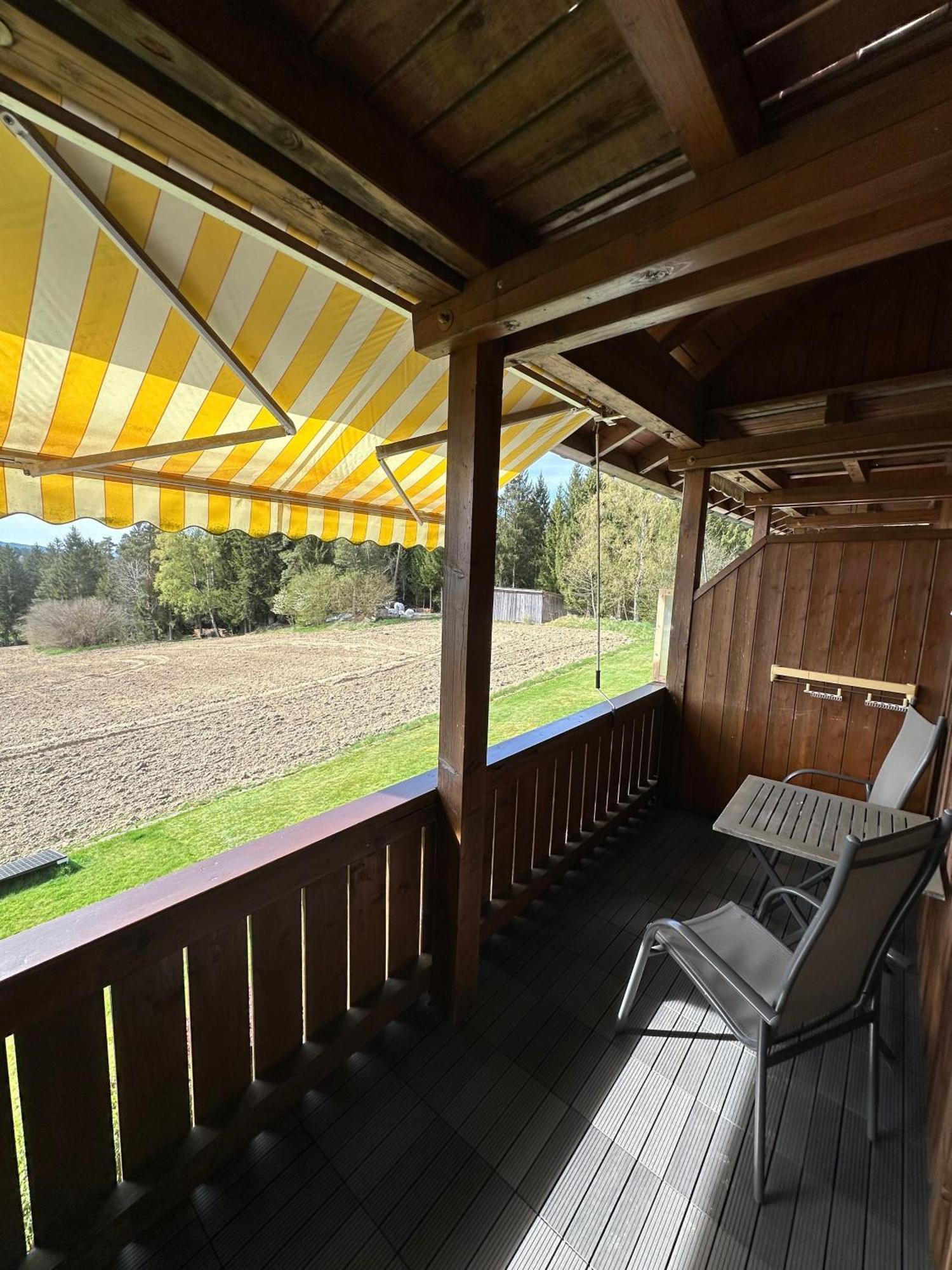 Ferienwohnung Rachel Mit Herrlichem Ausblick Rinchnach Dış mekan fotoğraf