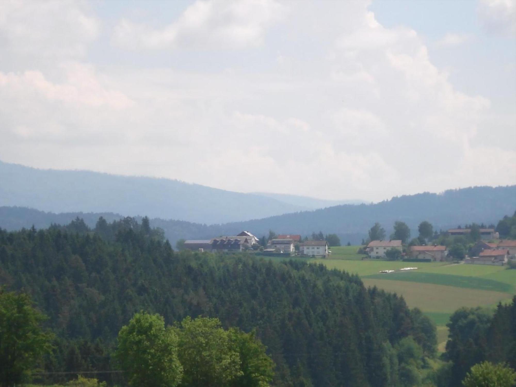 Ferienwohnung Rachel Mit Herrlichem Ausblick Rinchnach Dış mekan fotoğraf